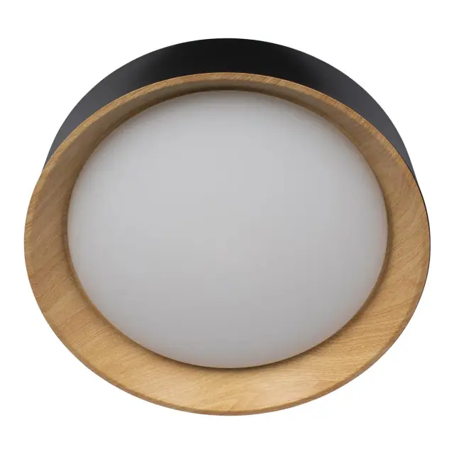 Светильник Loft IT 10202 Black COIN — черный, ракурс 3