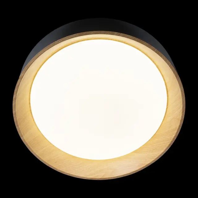 Светильник Loft IT 10202 Black COIN — черный, ракурс 4