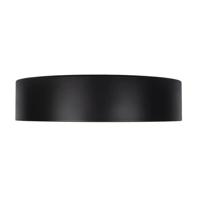 Светильник Loft IT 10202 Black COIN — черный, ракурс 5