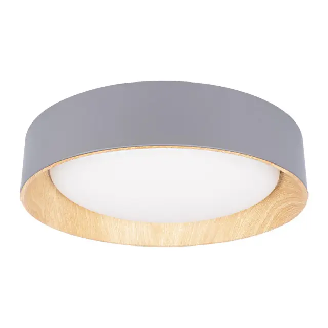Светильник Loft IT 10202 Grey COIN — серый