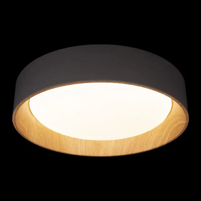 Светильник Loft IT 10202 Grey COIN — серый, ракурс 2