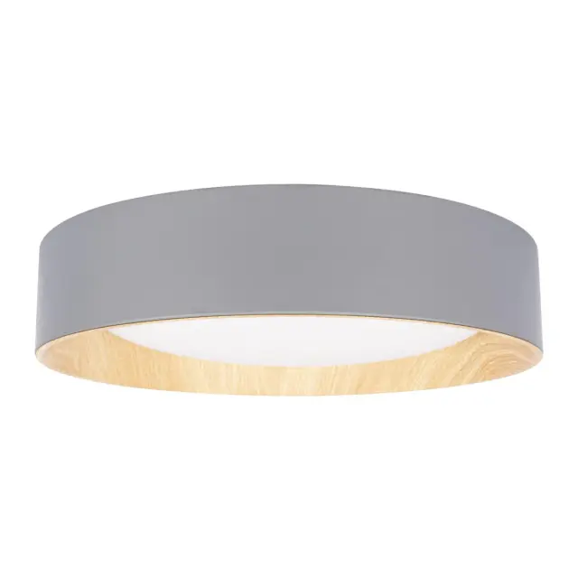 Светильник Loft IT 10202 Grey COIN — серый, ракурс 3
