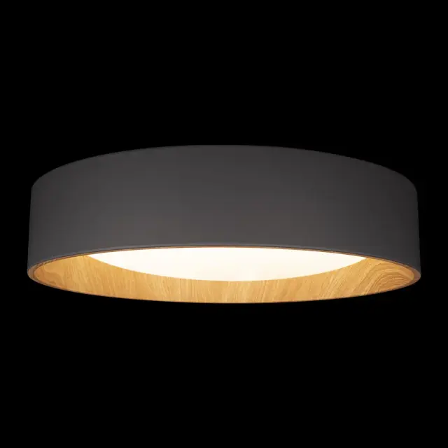 Светильник Loft IT 10202 Grey COIN — серый, ракурс 4