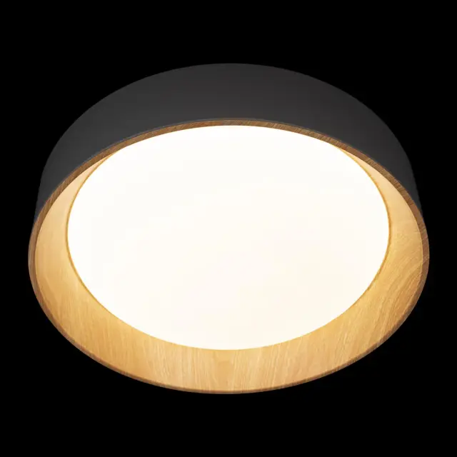 Светильник Loft IT 10202 Grey COIN — серый, ракурс 6