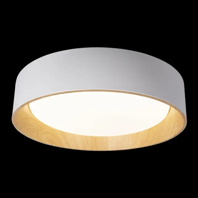 Светильник Loft IT 10202 White COIN — белый, ракурс 2