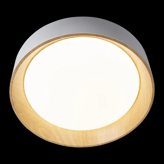 Светильник Loft IT 10202 White COIN — белый, ракурс 4