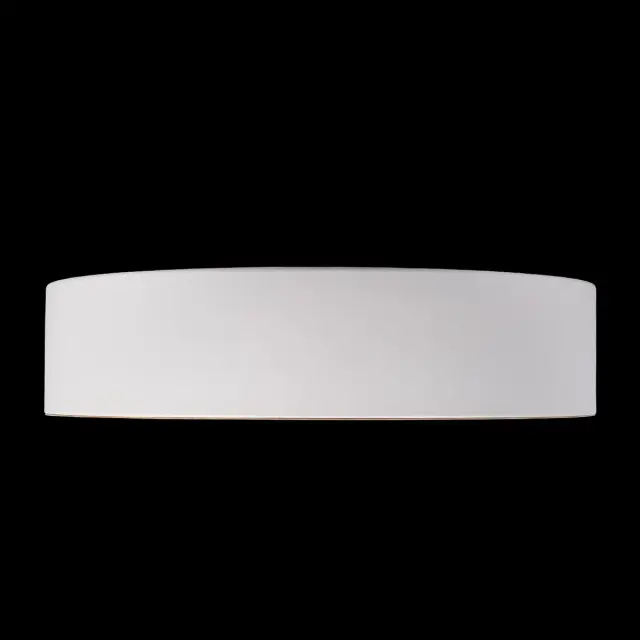 Светильник Loft IT 10202 White COIN — белый, ракурс 5