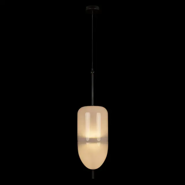 Светильник Loft IT 10223/B White VENICE — черный, ракурс 2