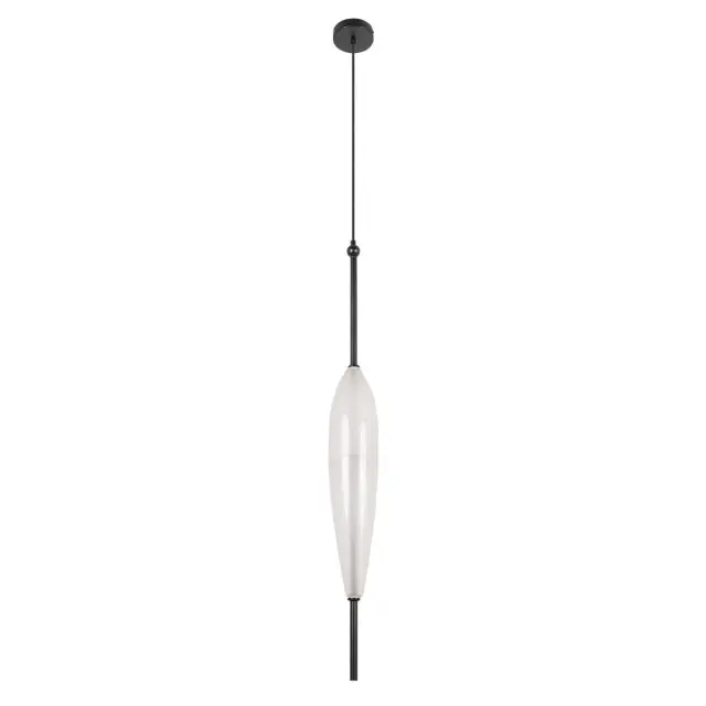 Светильник Loft IT 10223/C White VENICE — черный, ракурс 3