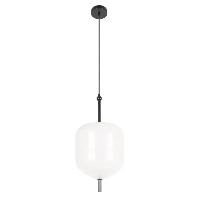 Светильник Loft IT 10223/D White VENICE — черный, ракурс 3