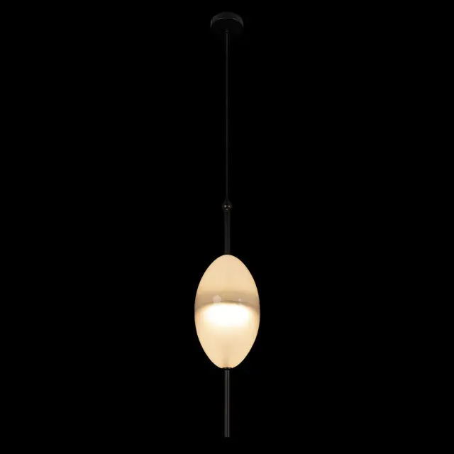 Светильник Loft IT 10223/E White VENICE — черный, ракурс 4