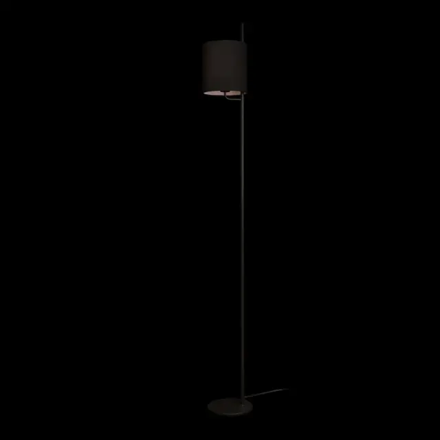 Торшер Loft IT 10253F/A Black RITZ — черный, ракурс 2