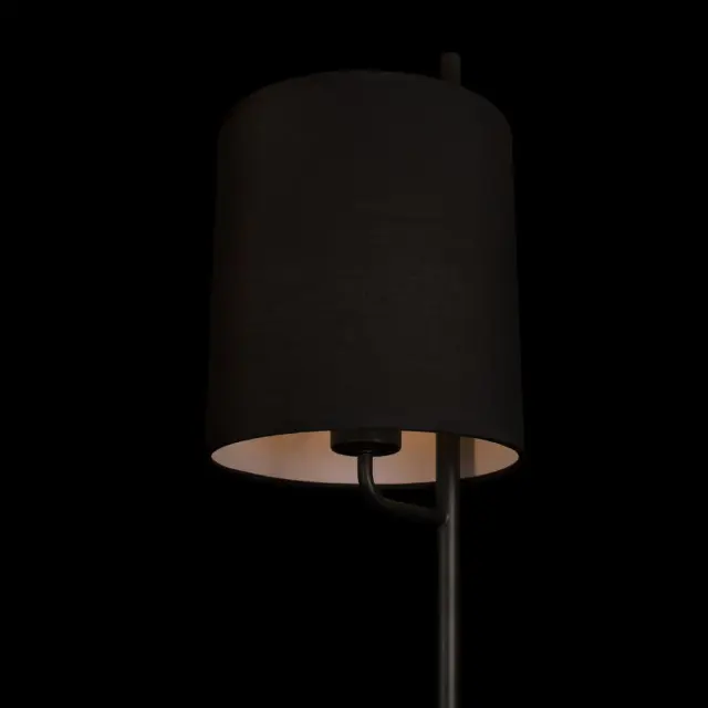 Торшер Loft IT 10253F/A Black RITZ — черный, ракурс 6
