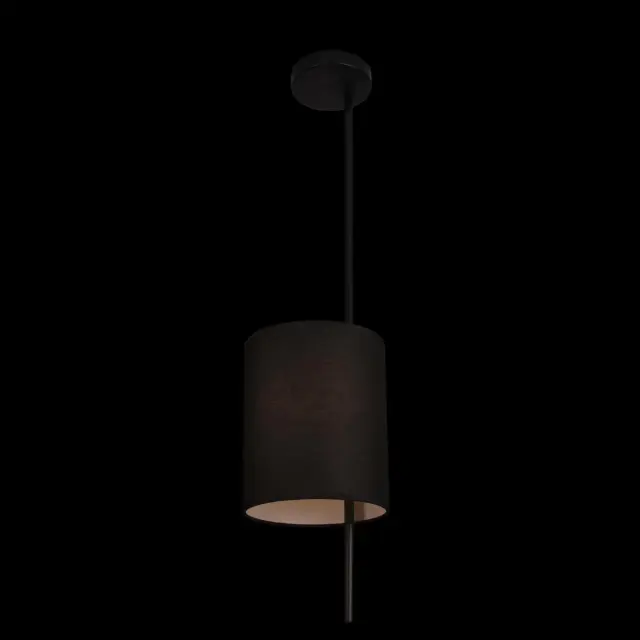 Светильник Loft IT 10253P Black RITZ — черный, ракурс 4