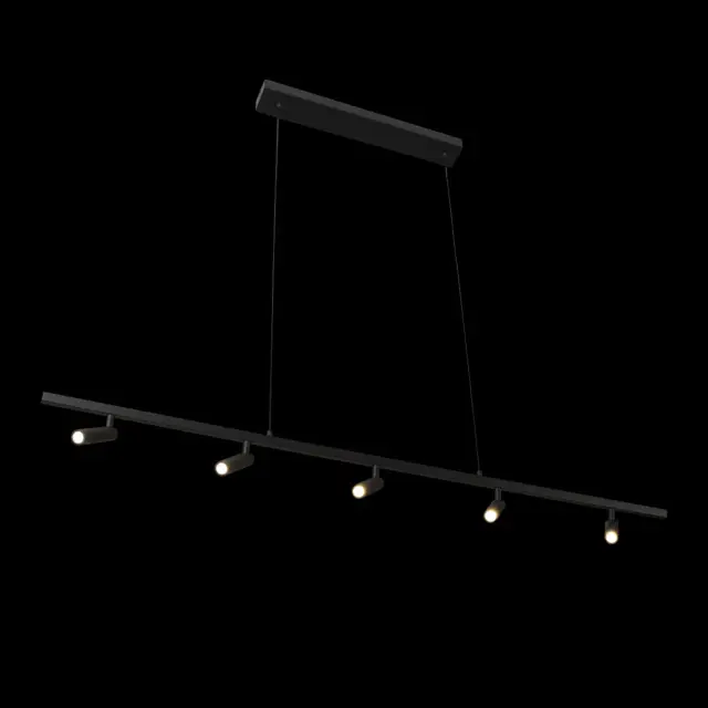 Светильник Loft IT 10260/5 Black SIGN — черный, ракурс 4