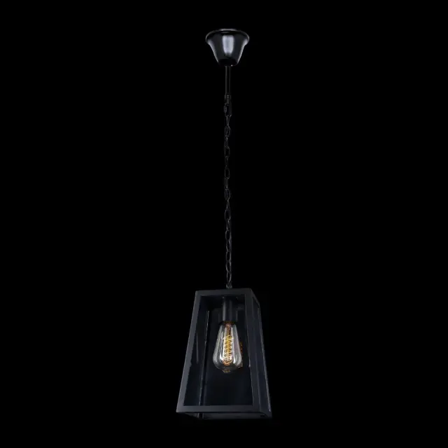 Светильник Loft IT LOFT1127 MODERN FILAMENT — черный, ракурс 2