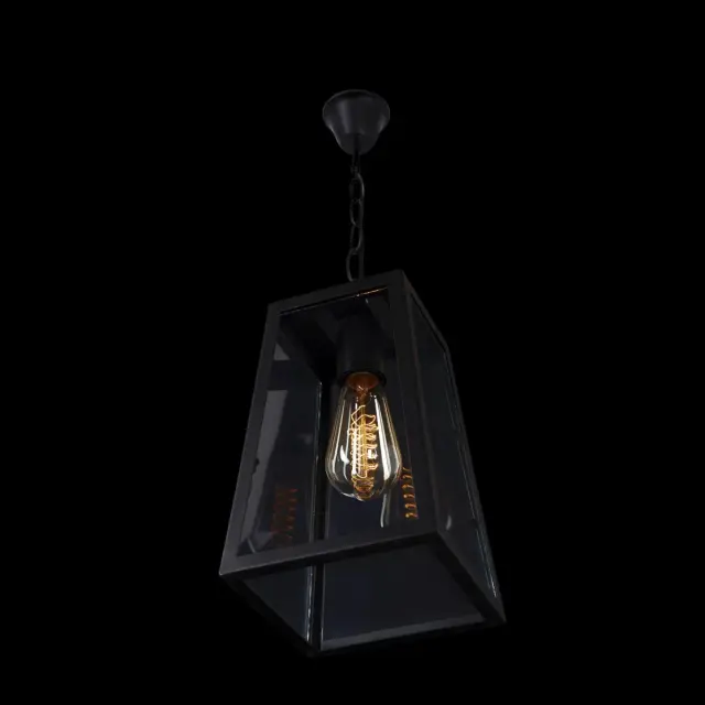 Светильник Loft IT LOFT1127 MODERN FILAMENT — черный, ракурс 4