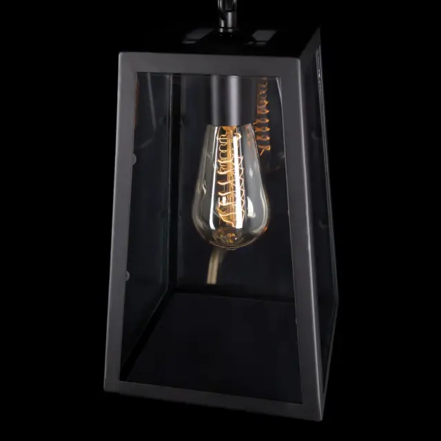 Светильник Loft IT LOFT1127 MODERN FILAMENT — черный, ракурс 6