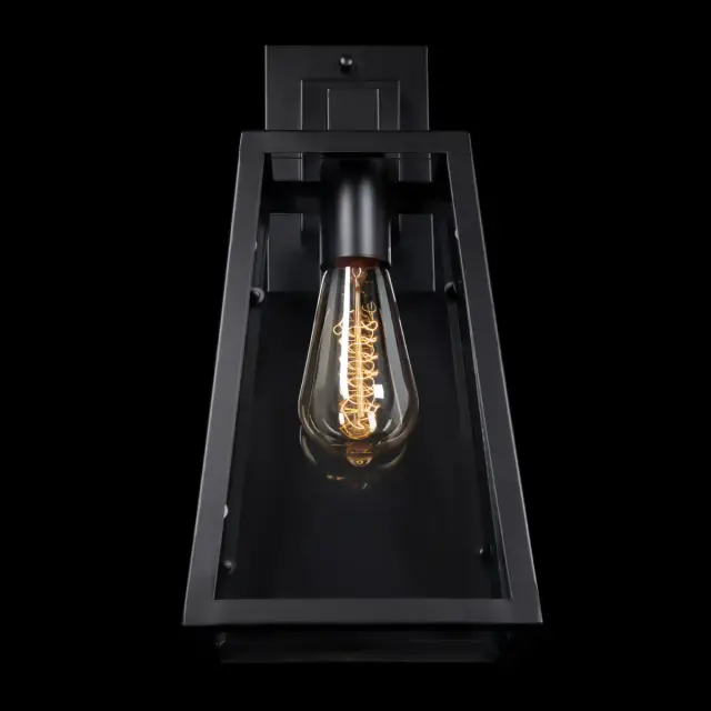 Бра Loft IT LOFT3110W MODERN FILAMENT — черный, ракурс 2