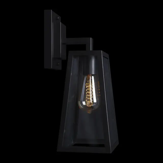 Бра Loft IT LOFT3110W MODERN FILAMENT — черный, ракурс 4