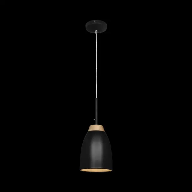 Светильник Loft IT LOFT4402A-BL WATCHMAN — черный, ракурс 2