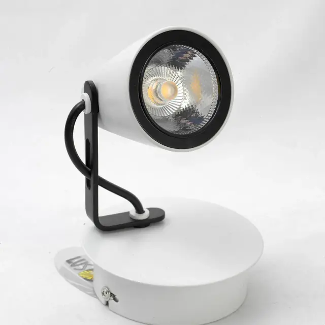 Спот Lussole LSN-4101-01 МЕРАНО — белый, ракурс 2