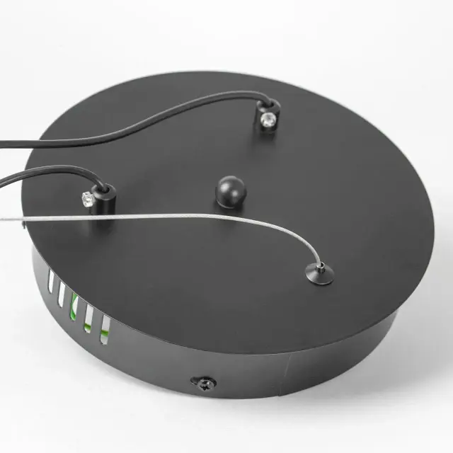 Светильник Lussole LSP-7160 БРАДФОРД — черный, ракурс 6