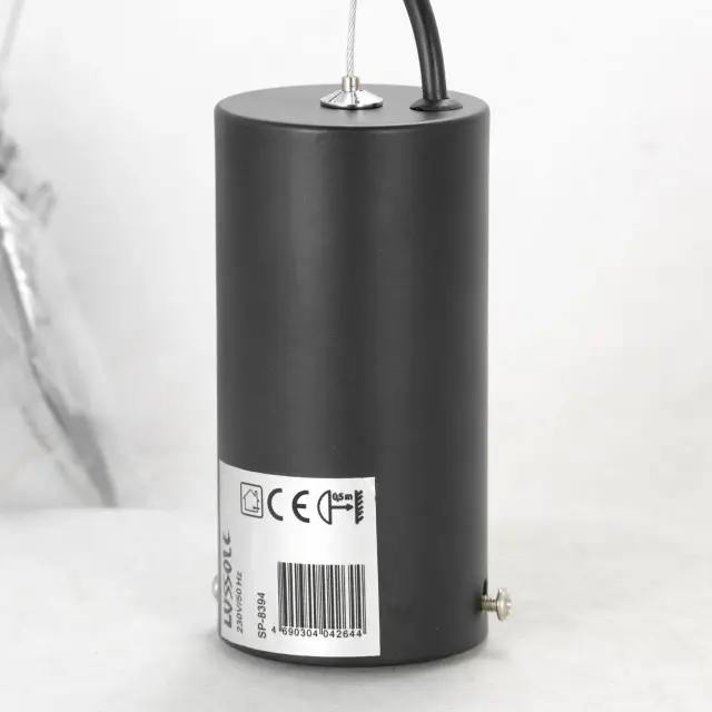 Светильник Lussole LSP-8394 ПИКЕНС — черный, ракурс 6