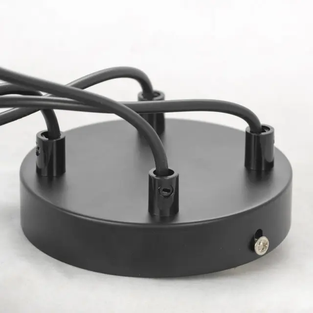 Светильник Lussole LSP-8411 ЧИЛТОН — черный, ракурс 4