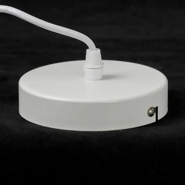 Светильник Lussole LSP-8915 БУТТЕ — белый, ракурс 4