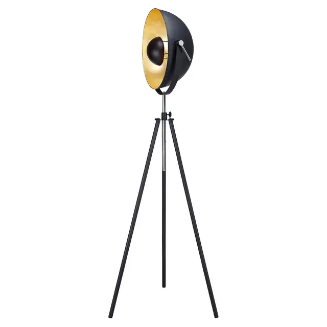 Торшер Lussole LSP-9824 ШЕРЕЛВУД — черный, ракурс 2