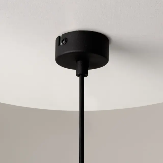 Подвесной светильник Maytoni ROS — прозрачный, ракурс 8