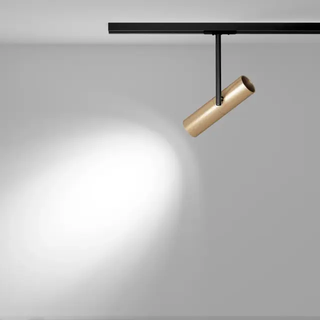 Трековый светильник Maytoni TRACK LAMPS — однофазные, золотой, ракурс 4