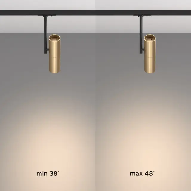 Трековый светильник Maytoni TRACK LAMPS — однофазные, золотой, ракурс 5