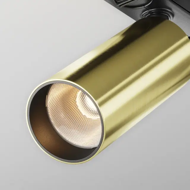 Трековый светильник Maytoni FOCUS LED — однофазные, латунь, ракурс 3