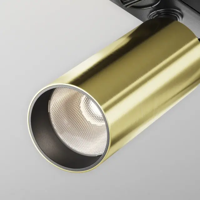 Трековый светильник Maytoni FOCUS LED — однофазные, латунь, ракурс 3