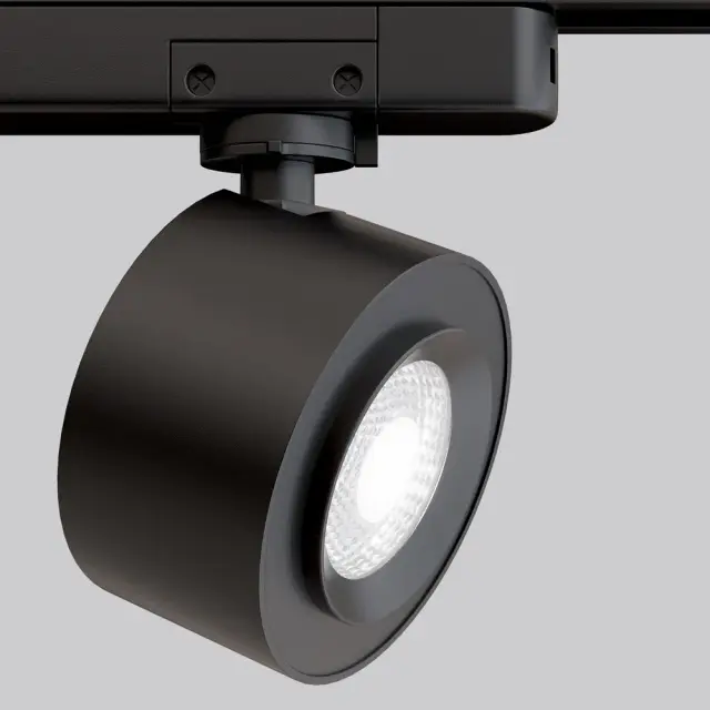 Трековый светильник Maytoni TRACK LAMPS — однофазные, черный, ракурс 2