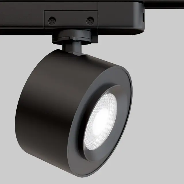 Трековый светильник Maytoni TRACK LAMPS — однофазные, черный, ракурс 2