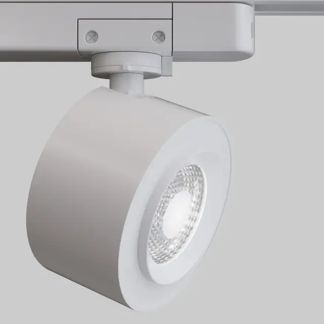 Трековый светильник Maytoni TRACK LAMPS — однофазные, белый, ракурс 2