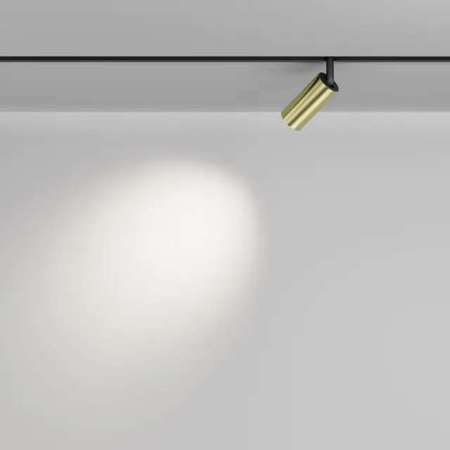 Трековый светильник Maytoni FOCUS LED — магнитные, латунь, ракурс 6