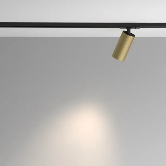 Трековый светильник Maytoni ARTISAN — однофазные, золотой, ракурс 6