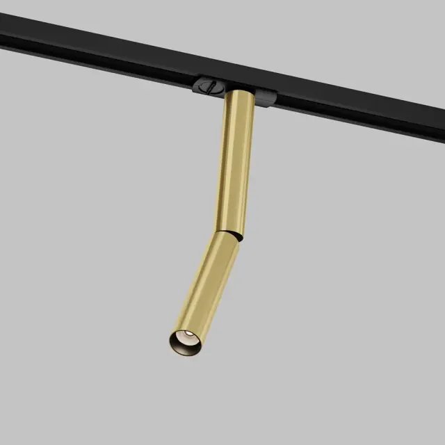 Трековый светильник Maytoni FOCUS DUAL — однофазные, латунь