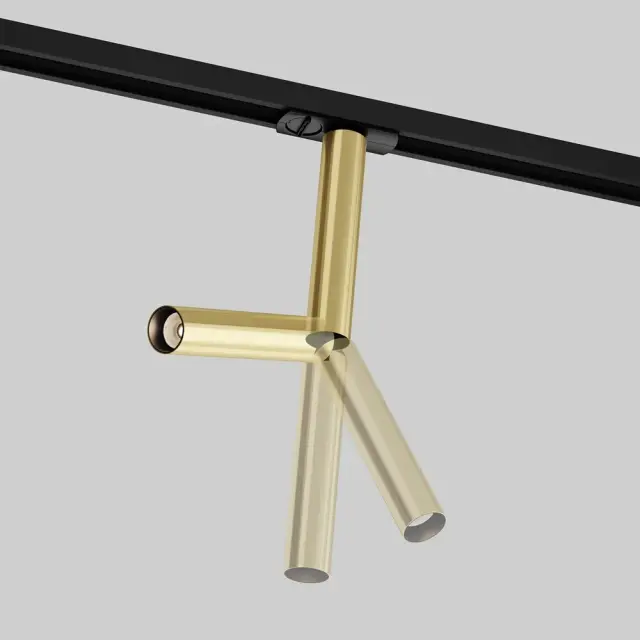 Трековый светильник Maytoni FOCUS DUAL — однофазные, латунь, ракурс 2
