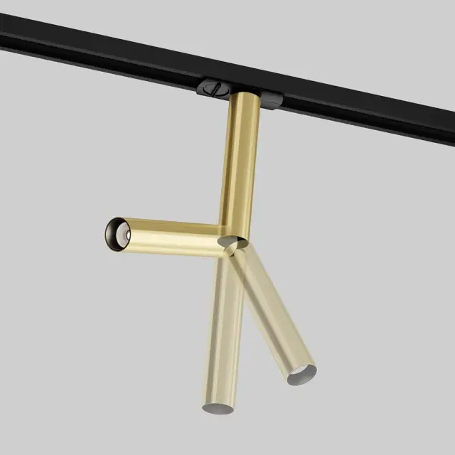 Трековый светильник Maytoni FOCUS DUAL — однофазные, латунь, ракурс 2