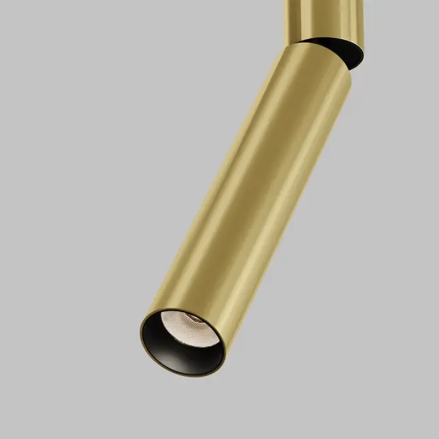 Трековый светильник Maytoni FOCUS DUAL — однофазные, латунь, ракурс 3