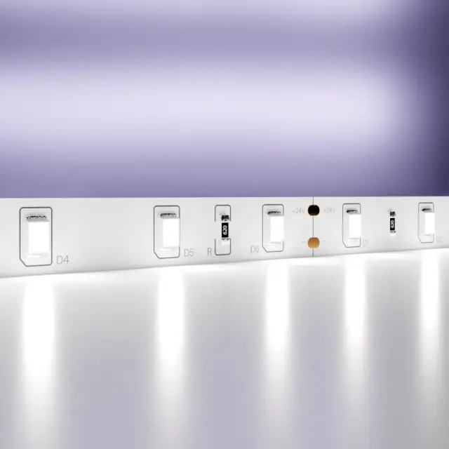 Светодиодная лента 24В 2835 4,8Вт/м 6000K 5м IP20