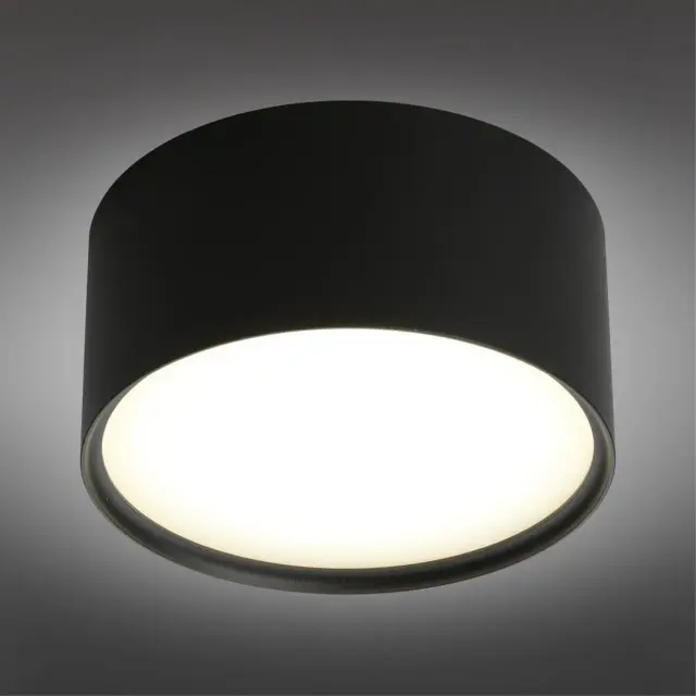 Точечный светильник Omnilux OML-100919-12 SALENTINO — черный, ракурс 2