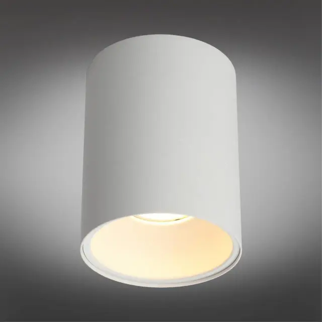 Точечный светильник Omnilux OML-101209-01 CARIANO — белый, ракурс 2