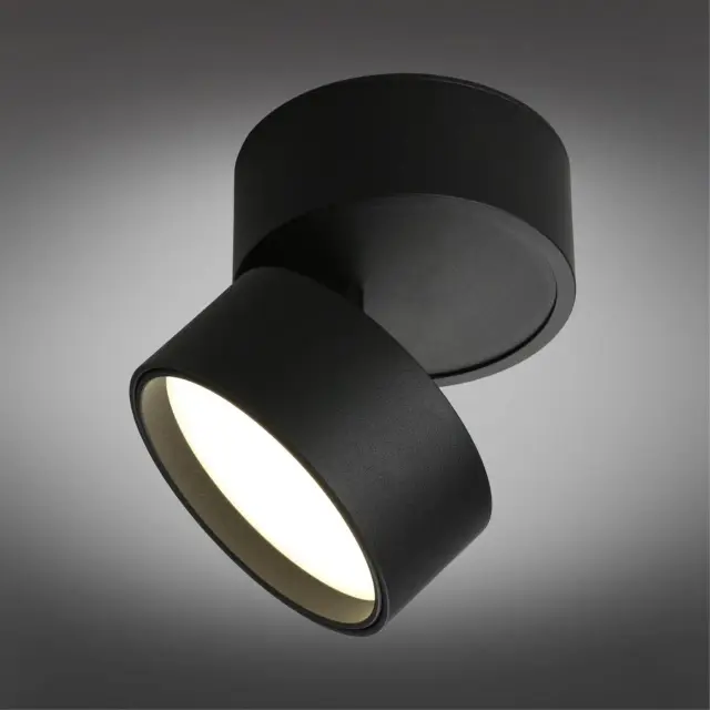Точечный светильник Omnilux OML-101319-12 LENNO — черный, ракурс 2