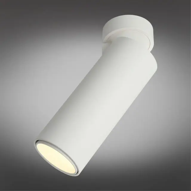 Точечный светильник Omnilux OML-101409-12 MONTELLA — белый, ракурс 2